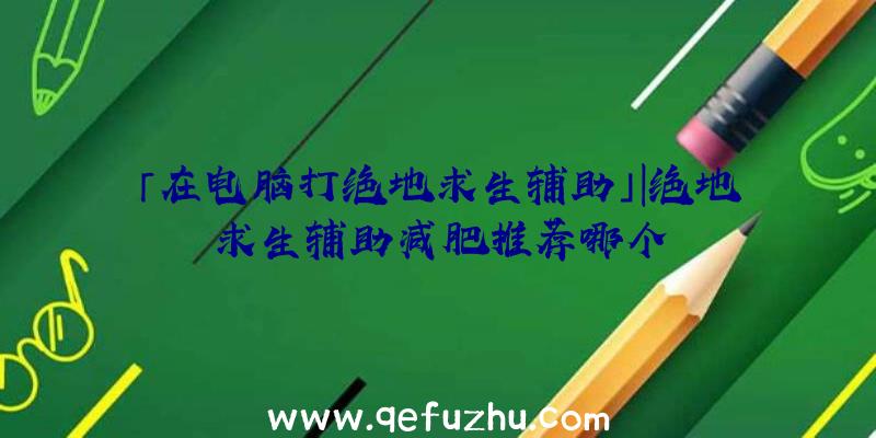「在电脑打绝地求生辅助」|绝地求生辅助减肥推荐哪个